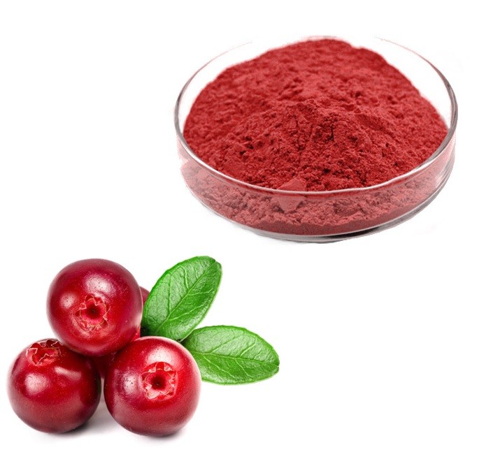 Cranberry Powder