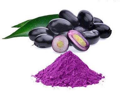 Jamun Pulp Powder