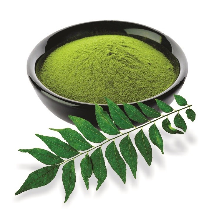 Curry Leaves Powder