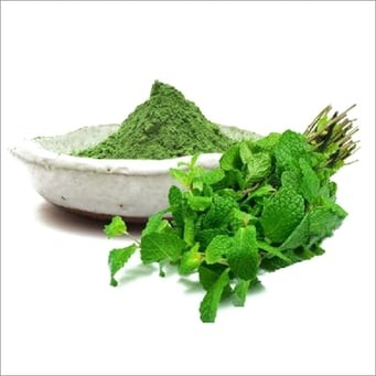 Mint Leaves Powder
