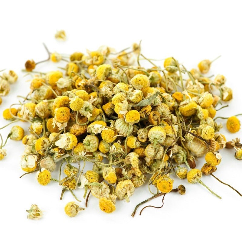 Chamomile Flower