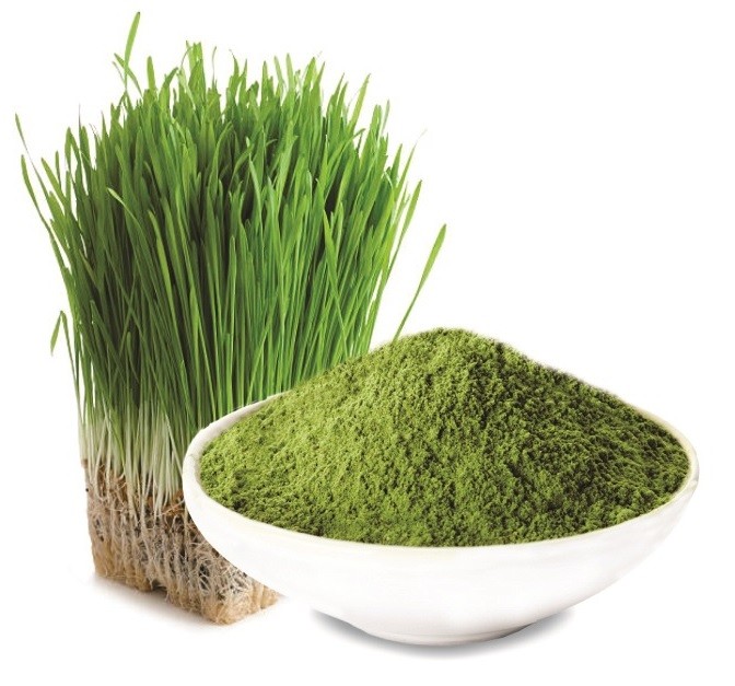 Barley Grass Powder