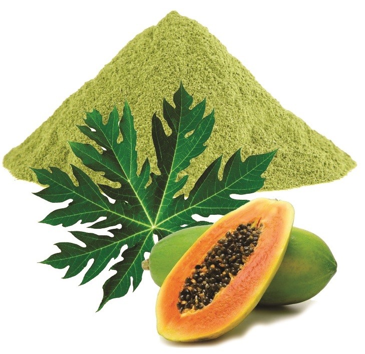 Papaya Leaf Powder