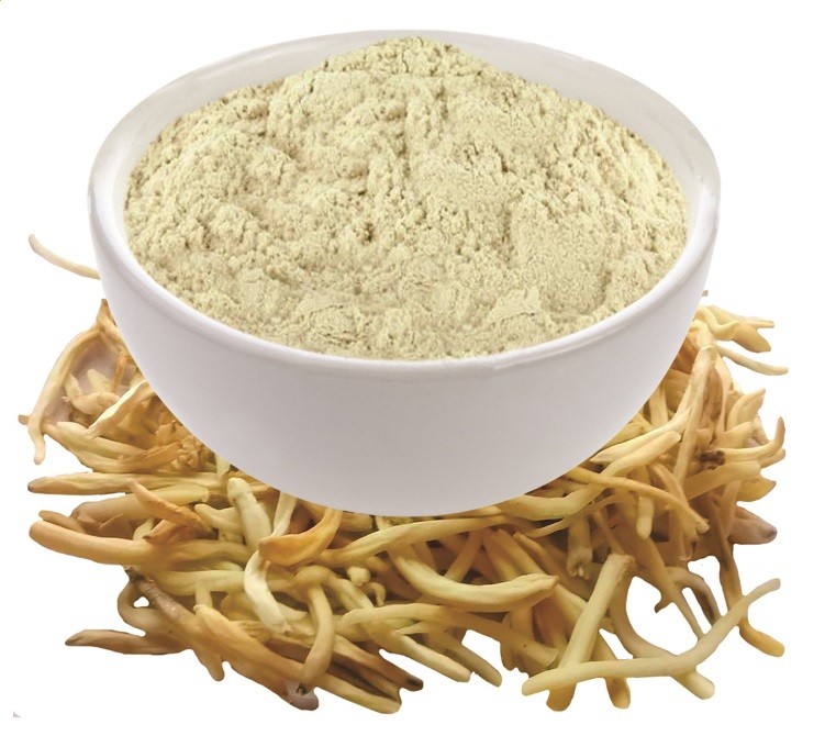 Safed Musli Powder