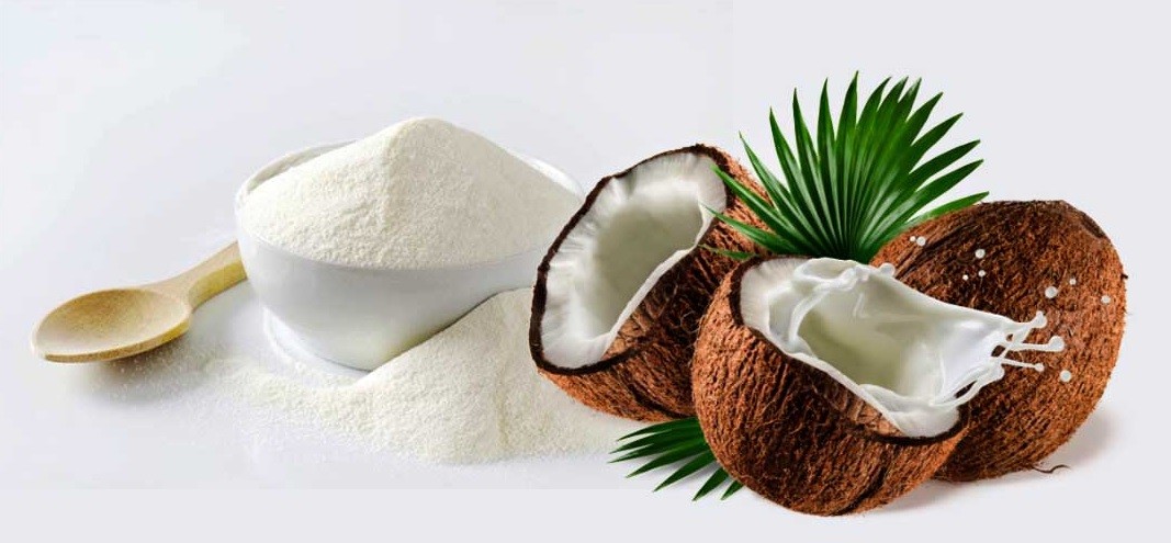 Coconut Milk Powder